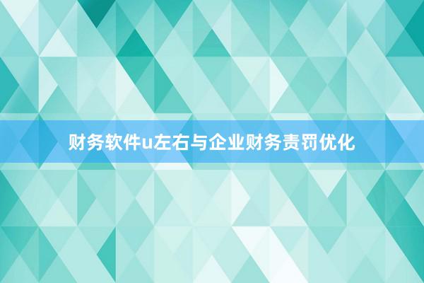 财务软件u左右与企业财务责罚优化