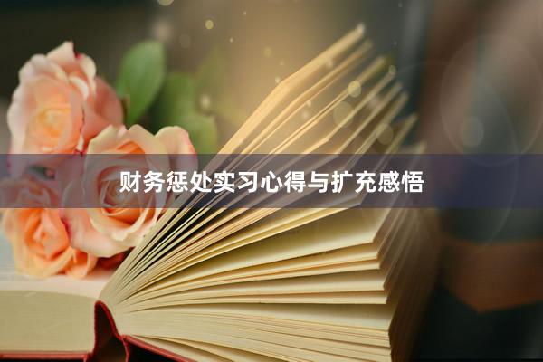 财务惩处实习心得与扩充感悟
